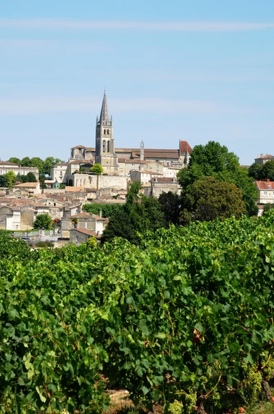 Gironda, viñedo de Saint Emilion en Aquitania — Foto de Stock