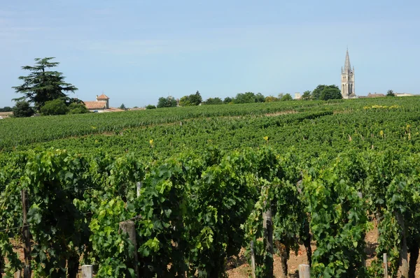 Gironde, Weinberg des heiligen Milieus in Aquitanien — Stockfoto