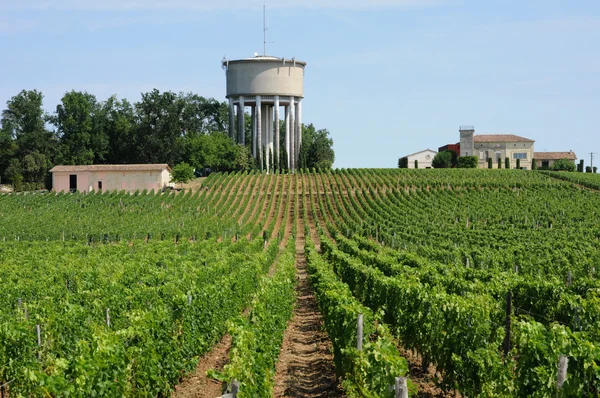 Gironde, vinice saint emilion v regionu Akvitánie — Stock fotografie