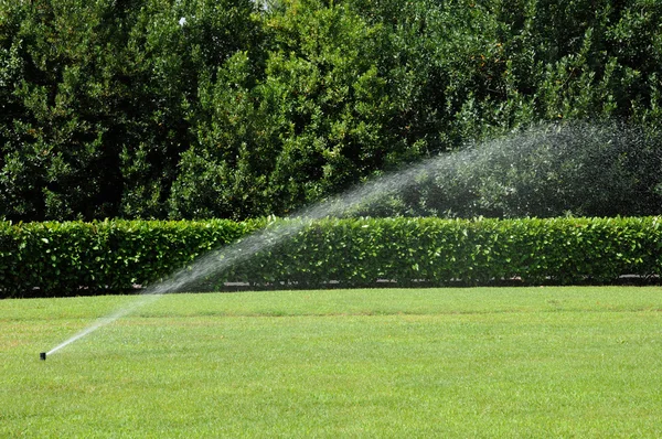 Watering in a garden — Stock Photo, Image