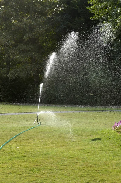 Water in een tuin — Stockfoto