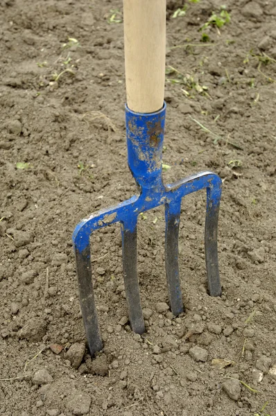 Лопата в почве сада — стоковое фото