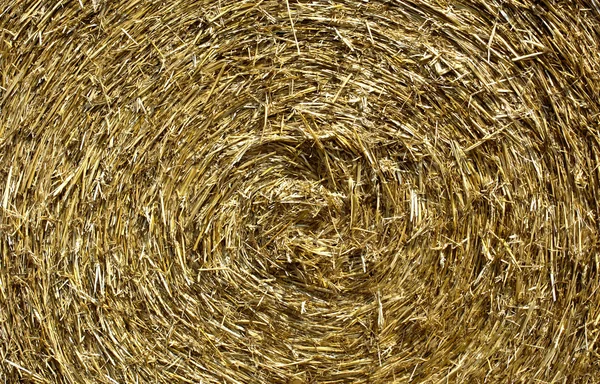 法国诺曼底中的稻草捆 — 图库照片