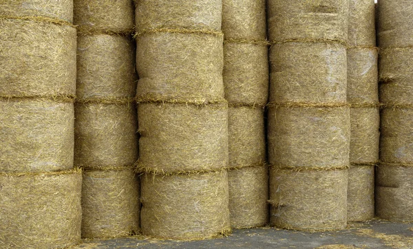 法国诺曼底的稻草包 — 图库照片