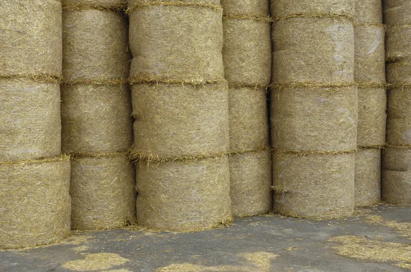 France, bales of straw in Normandie — Stock Photo, Image
