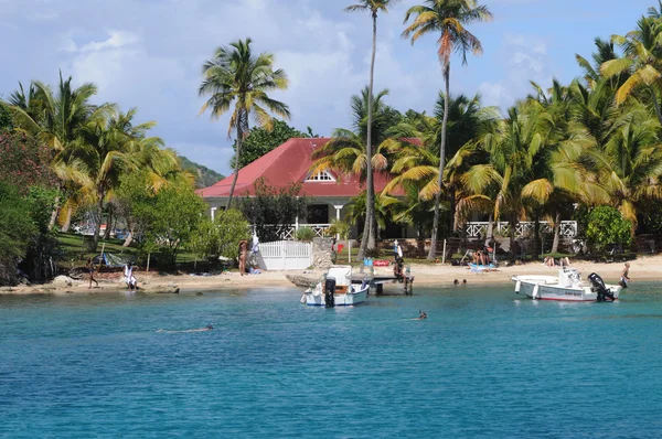 Přímořské les saintes Guadeloupe — Stock fotografie