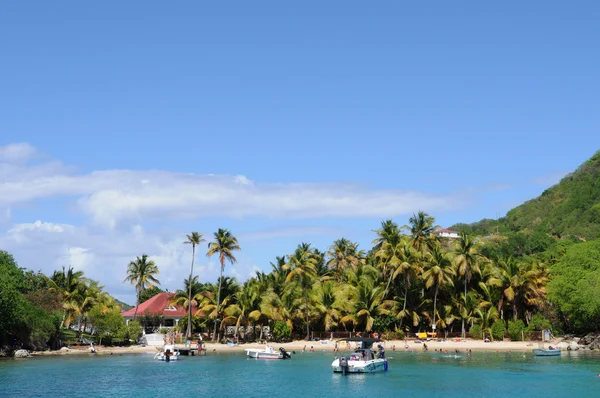 Kust van les saintes in guadeloupe — Stockfoto