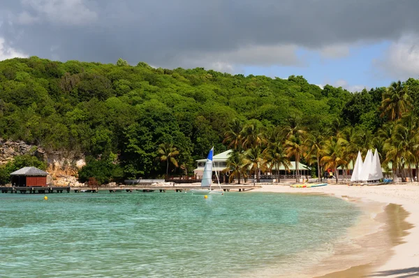 France, Sainte Anne in Guadeloupe — Stockfoto