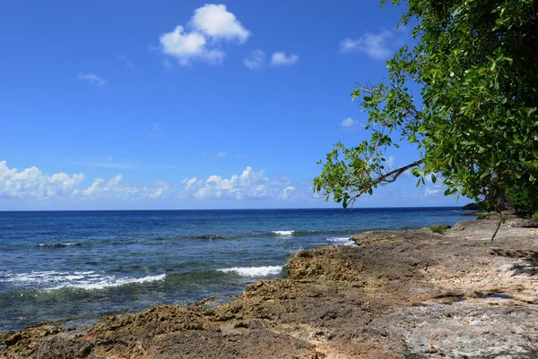 Am meer von anse bertrand in guadeloupe — Stockfoto