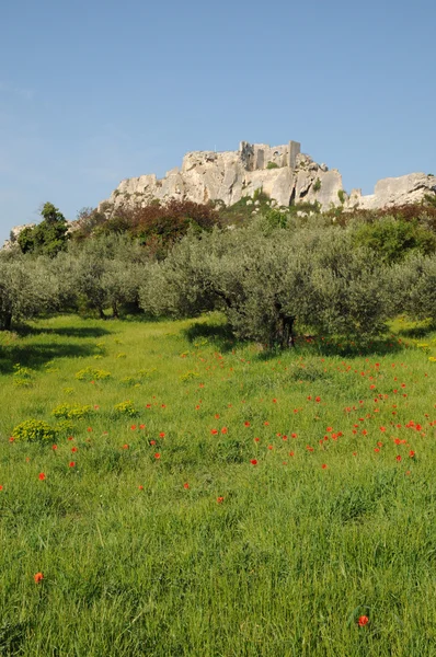 Typical landscapes of Les-Baux-de-Provence — Stock Photo, Image