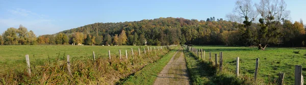 Francja, krajobraz des Bois saint lambert w les yvelines — Zdjęcie stockowe