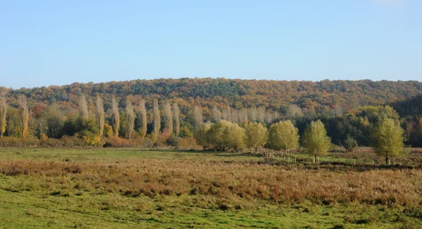 Francia, paisaje de Saint Lambert des Bois in les Yvelines —  Fotos de Stock