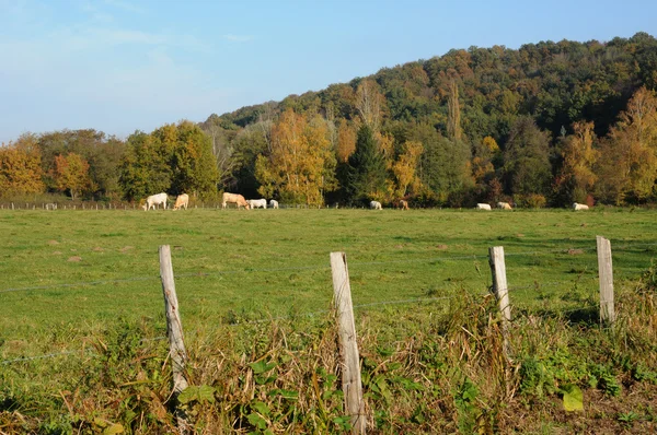 França, paisagem de Saint Lambert des Bois in les Yvelines — Fotografia de Stock