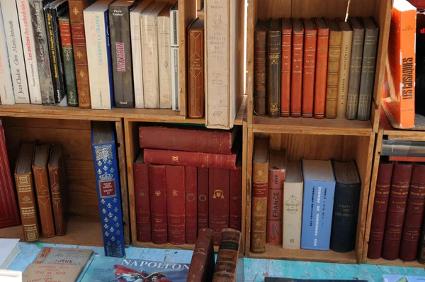 골동품가 게에서 오래 된 책 들 — 스톡 사진