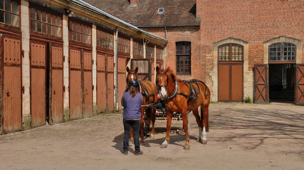 Haras national du iğne normandie — Stok fotoğraf