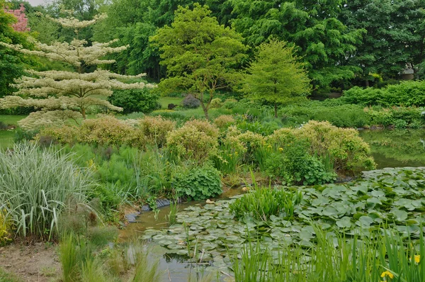 Les Jardins du Pays d 'Abbel in Cambremer in Normandie — стоковое фото