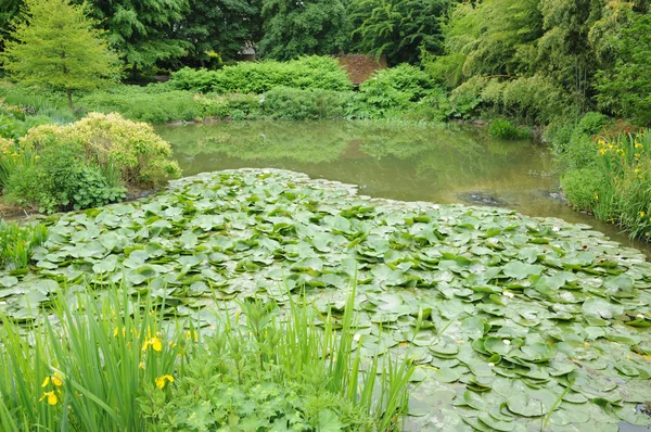 Les Jardins du платить d ож у даному відгуку відсутні коментарі в Нормандії — стокове фото