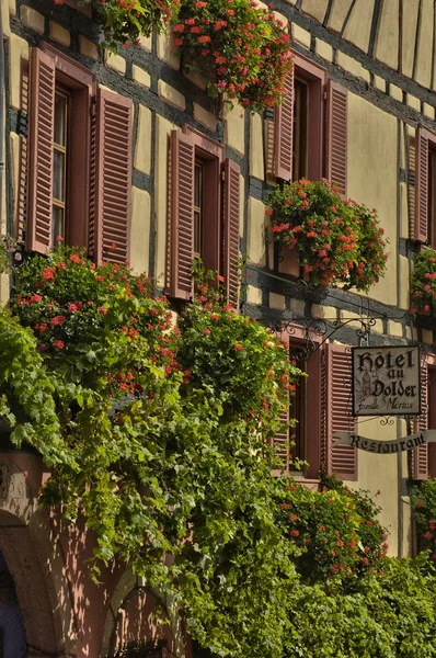 Schilderachtige dorp van riquewihr in Elzas — Stockfoto