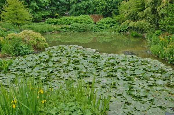 Les Jardins du платить d ож у даному відгуку відсутні коментарі в Нормандії — стокове фото