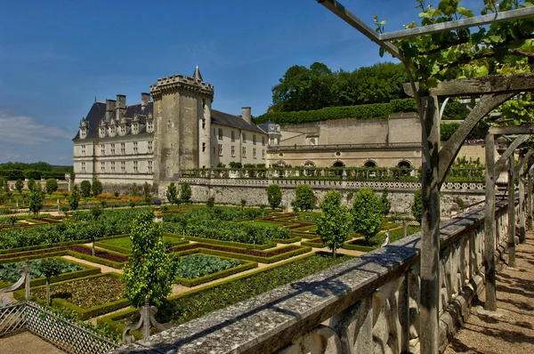 Villandry castle in Val de Loire — Stock Photo, Image