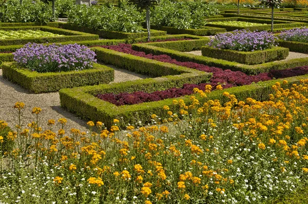 Villandry castle in Val de Loire — Stock Photo, Image