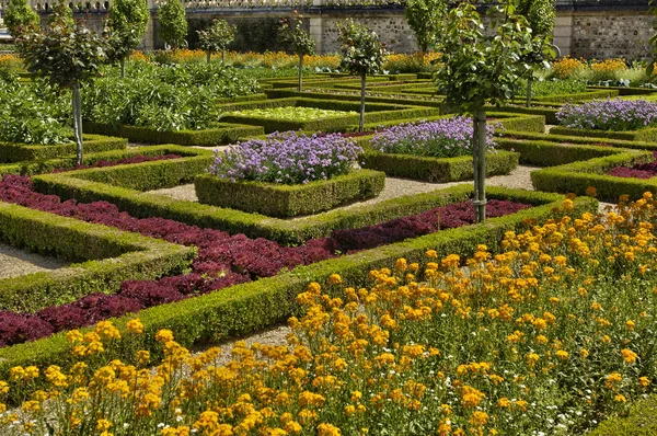 Villandry castle in Val de Loire — Stock Photo, Image