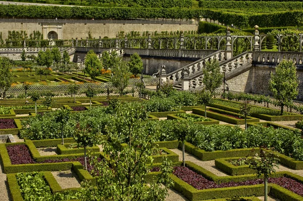 Villandry Schloss in val de loire — Stockfoto