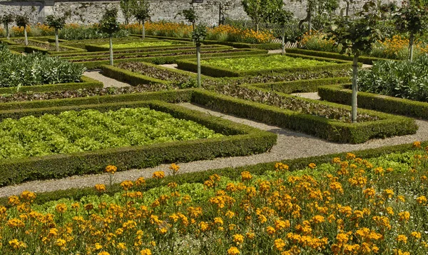 Villandry castle in Val de Loire — Stock Photo, Image