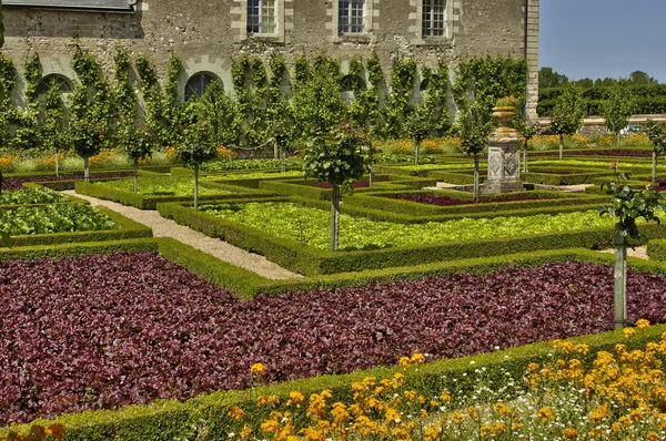 Villandry slot i Val de Loire - Stock-foto