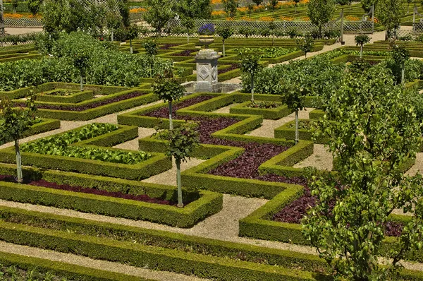 Val de loire Şato Villandry — Stok fotoğraf