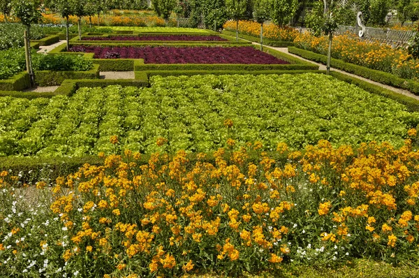 Zamek w Villandry w val de loire — Zdjęcie stockowe