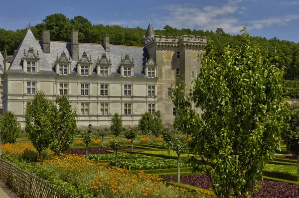 Замок Вилландри в Валь-де-Луаре — стоковое фото