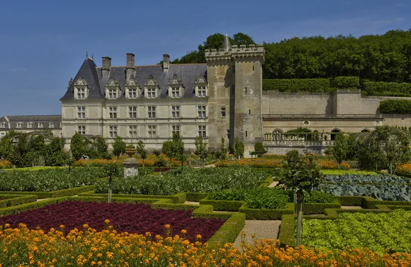 Villandry slott i val de loire — Stockfoto