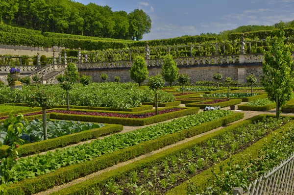 Château de Villandry en Val de Loire — Photo