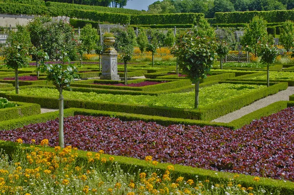 Kasteel van Villandry in val de loire — Stockfoto