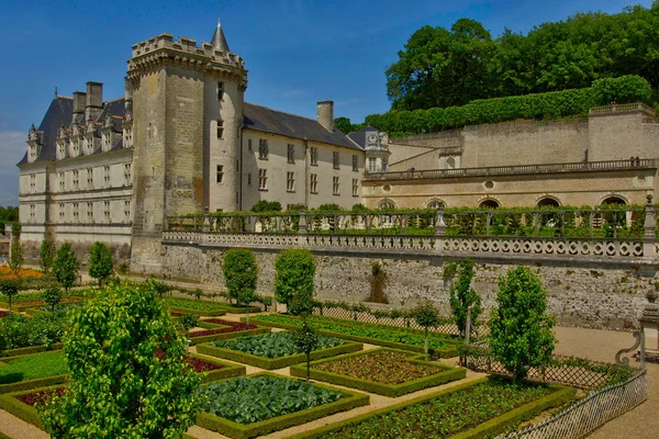 Villandry slott i val de loire — Stockfoto