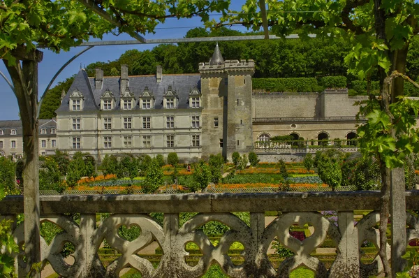 Villandry castle in Val de Loire — Stock Photo, Image