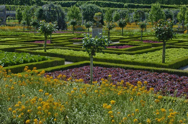 Villandry hrad v val de loire — Stock fotografie