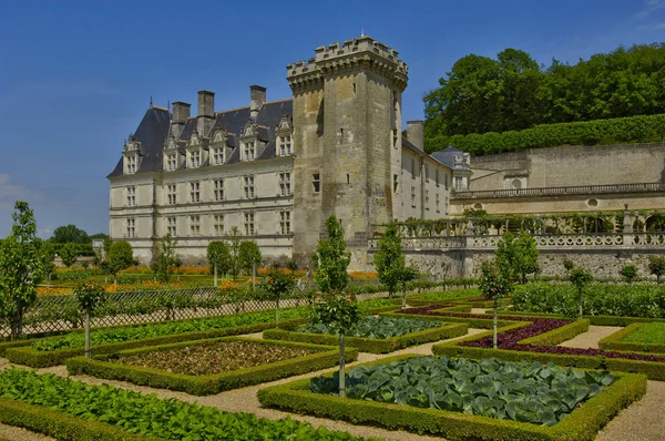 Villandry castle in Val de Loire — Stock Photo, Image