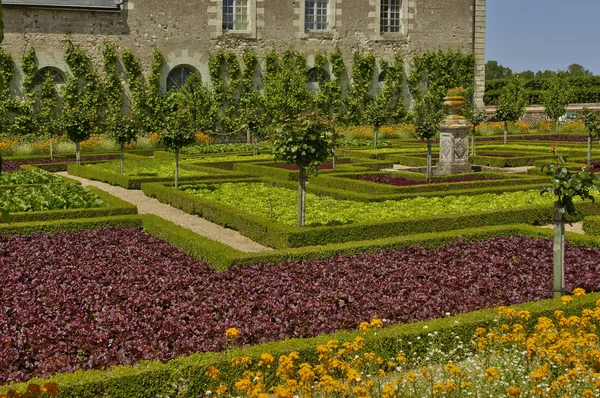 Castillo de Villandry en Val de Loire —  Fotos de Stock