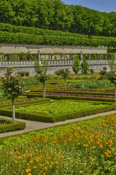 Castillo de Villandry en Val de Loire —  Fotos de Stock