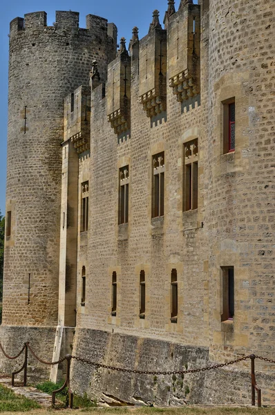 프랑스, 지롱드에서 Roquetaillade 중세 성 — 스톡 사진