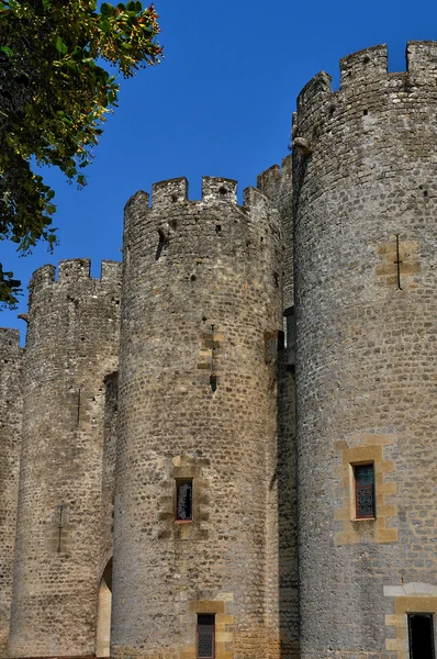 Francie, středověký hrad roquetaillade v gironde — Stock fotografie