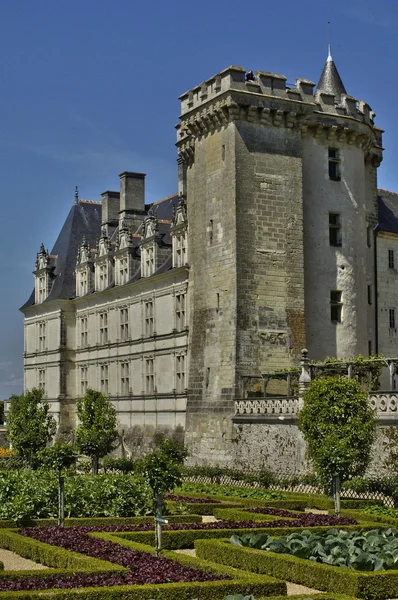 Villandry κάστρο στην val de loire — Φωτογραφία Αρχείου