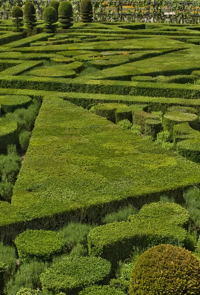 Villandry castle in Val de Loire — Stock Photo, Image