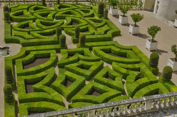 Château de Villandry en Val de Loire — Photo