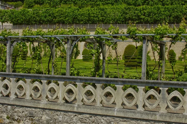 Villandry slott i val de loire — Stockfoto