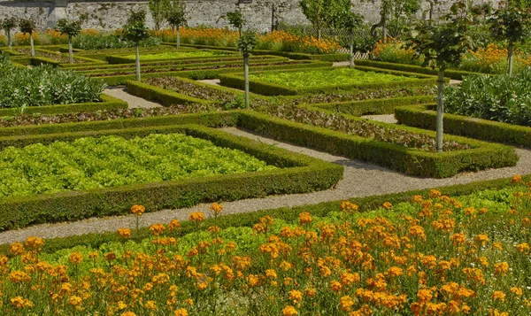 Kasteel van Villandry in val de loire — Stockfoto