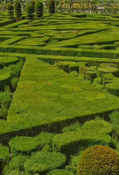 Château de Villandry en Val de Loire — Photo