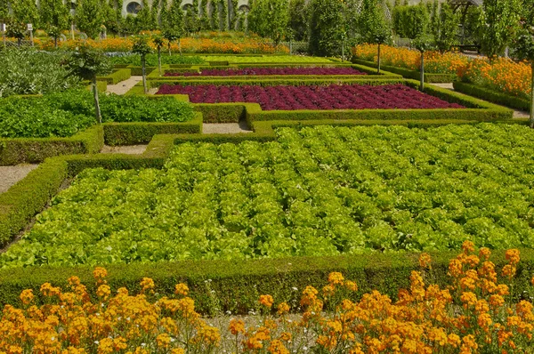 Villandry castle in Val de Loire — Stock Photo, Image